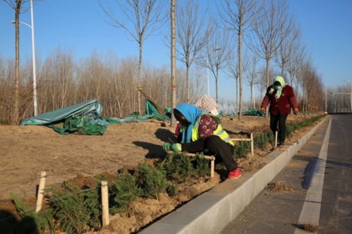 滨州33项园林绿化新建续建工程本月底前全面开工